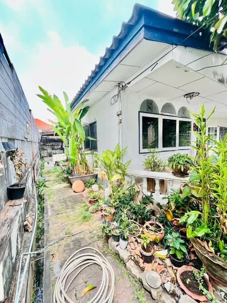 โชคชัย4, Bangkok, Lat Phrao, Lat Phrao, Bangkok, 4 Bedrooms, 300 sqm, Single Detached House For Sale, by Khun Bas, 500154424 - DDproperty.com