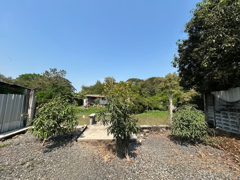 ที่ดินหนองจอก กรุงเทพมหานคร, Bangkok, Nong Chok, Nong Chok, Bangkok, , 220 sqm, Land For Sale, by The Best Property ต้าร์, 500154447 - DDproperty.com