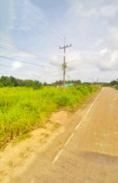 For Sale - ที่ดินแกลง ระยอง, Rayong