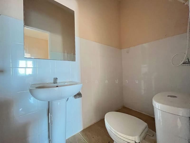 อาคารพาณิชย์ 3 ชั้น โครงการปาลิกา วิลเลจ นครนายก, นครนายก, บ้านใหญ่, เมืองนครนายก, นครนายก, 84 ตร.ม., ที่ดิน ขาย, โดย วันดี รอดปาน, 500154479 - DDproperty.com