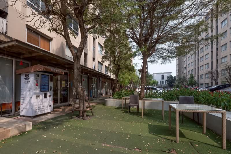 Plum Condo Samakkhi : พลัม คอนโด สามัคคี, นนทบุรี, ซอย สามัคคี 22/1, ท่าทราย, เมืองนนทบุรี, นนทบุรี, 26 ตร.ม., คอนโด ขาย, โดย นันณภัชสรณ์ ลิ้มศิริวัฒน์, 500154481 - DDproperty.com