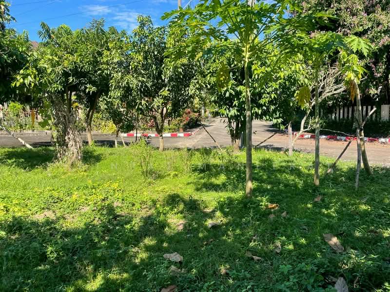 หางดง, เชียงใหม่, หนองควาย, หางดง, เชียงใหม่, 700 ตร.ม., ที่ดิน ขาย, โดย Sirinrat Maneerat, 500154484 - DDproperty.com