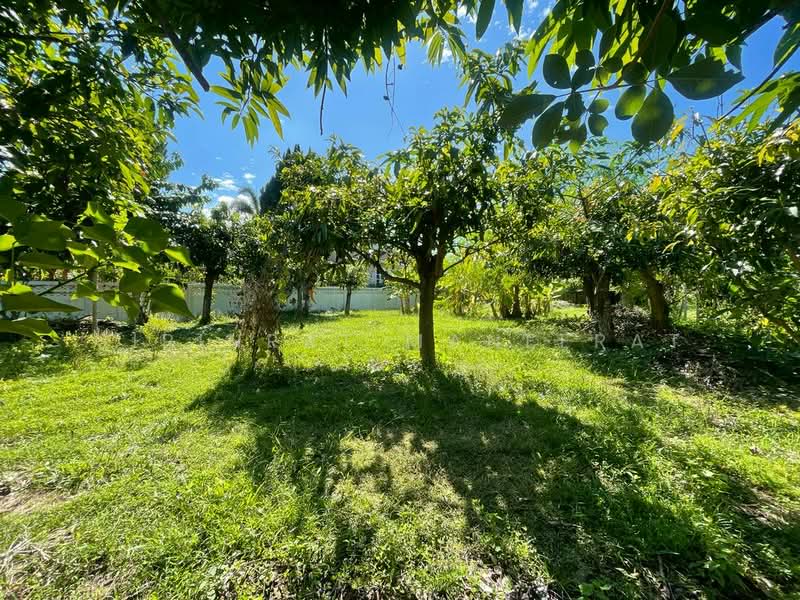 หางดง, Chiang Mai, Nong Kwai, Hang Dong, Chiang Mai, , 700 sqm, Land For Sale, by Sirinrat Maneerat, 500154484 - DDproperty.com