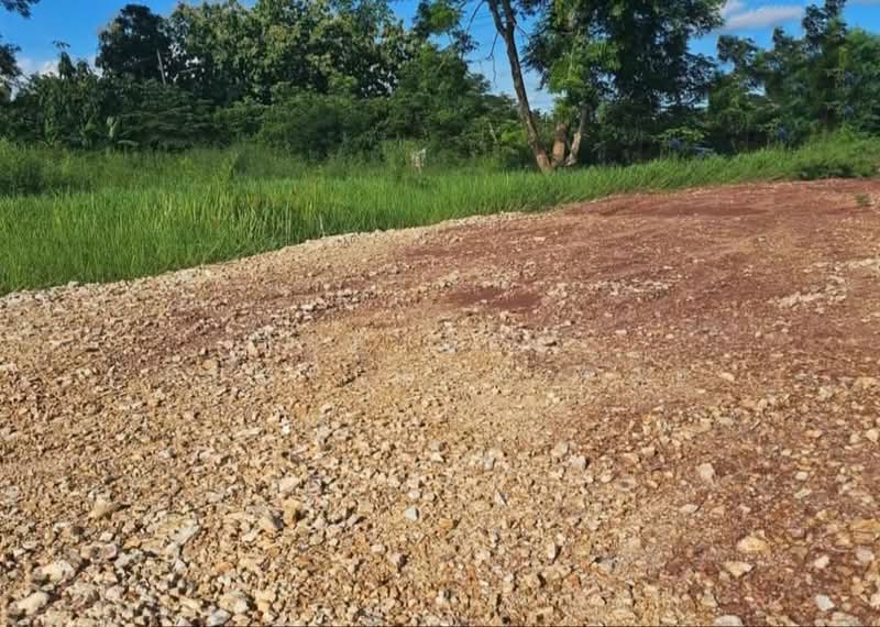 ที่ดินท่าอิฐ อุตรดิตถ์, Uttaradit, Tha It, Muang Uttaradit, Uttaradit, , 380 sqm, Land For Sale, by The Best Property น้อย, 500154497 - DDproperty.com