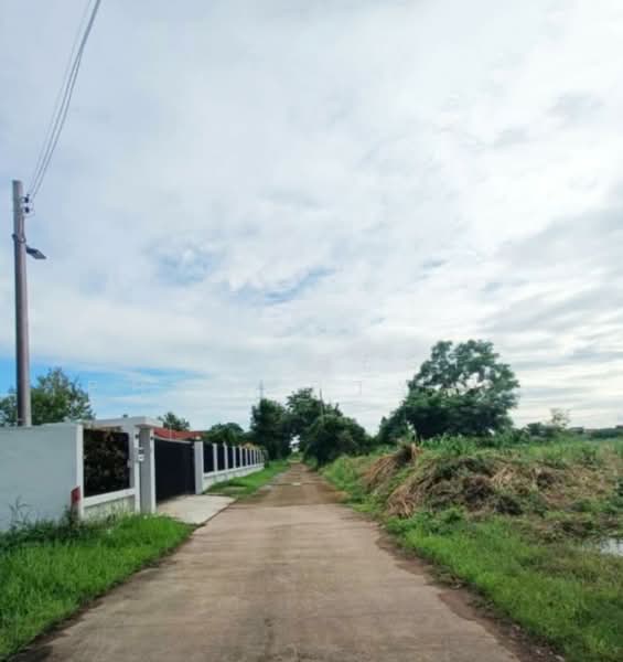ที่ดินท่าอิฐ อุตรดิตถ์, Uttaradit, Tha It, Muang Uttaradit, Uttaradit, , 380 sqm, Land For Sale, by The Best Property น้อย, 500154497 - DDproperty.com