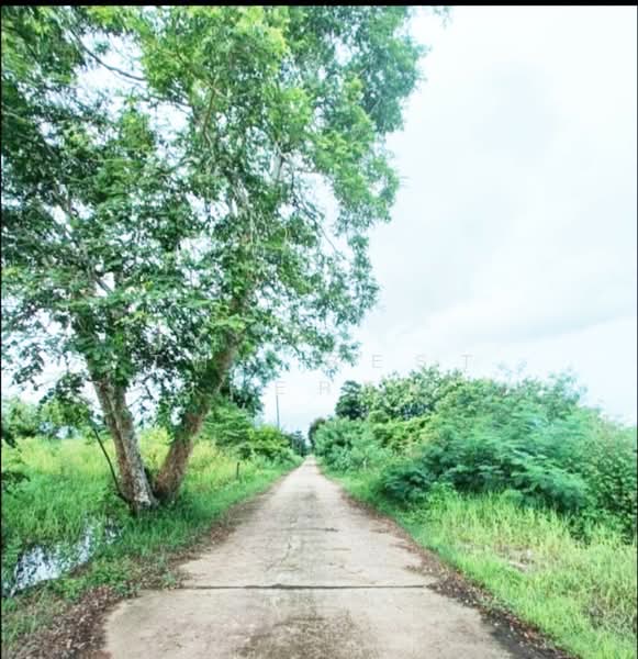 ที่ดินท่าอิฐ อุตรดิตถ์, Uttaradit, Tha It, Muang Uttaradit, Uttaradit, , 380 sqm, Land For Sale, by The Best Property น้อย, 500154497 - DDproperty.com