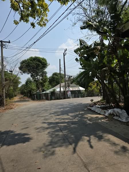 ขายที่ดินในซอยเพชรหึงส์ 23 บางกระเจ้า พระประแดง สมุทรปราการ, Samut Prakan, เพชรหึงส์, Bang Yo, Phra Pra Daeng, Samut Prakan, , 8,000 sqm, Land For Sale, by ณัฐธยาน์ ไชยวรุตย์, 500154502 - DDproperty.com