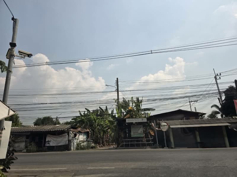 ขายที่ดินในซอยเพชรหึงส์ 23 บางกระเจ้า พระประแดง สมุทรปราการ, Samut Prakan, เพชรหึงส์, Bang Yo, Phra Pra Daeng, Samut Prakan, , 8,000 sqm, Land For Sale, by ณัฐธยาน์ ไชยวรุตย์, 500154502 - DDproperty.com