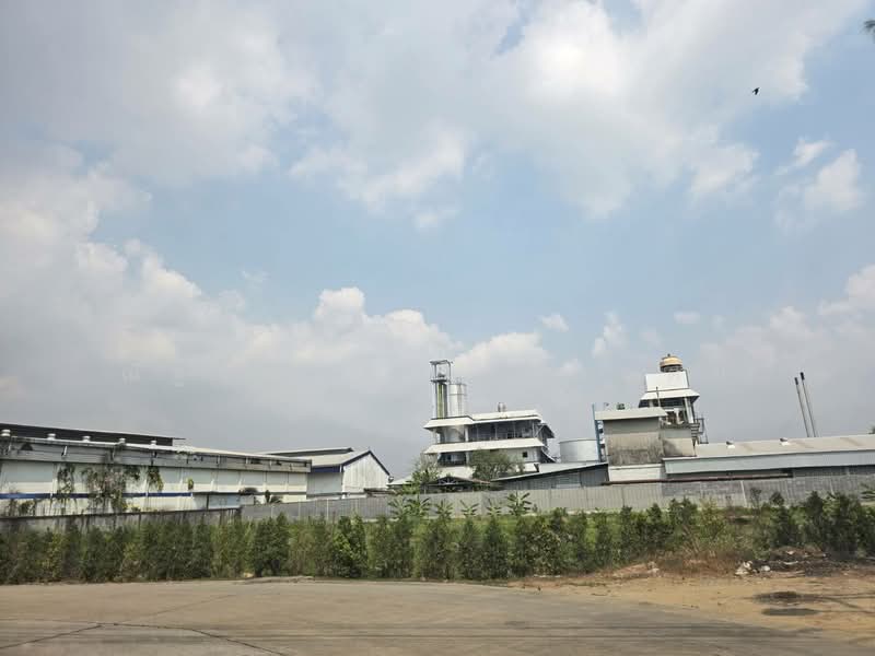 ขายที่ดินในซอยเพชรหึงส์ 23 บางกระเจ้า พระประแดง สมุทรปราการ, Samut Prakan, เพชรหึงส์, Bang Yo, Phra Pra Daeng, Samut Prakan, , 8,000 sqm, Land For Sale, by ณัฐธยาน์ ไชยวรุตย์, 500154502 - DDproperty.com