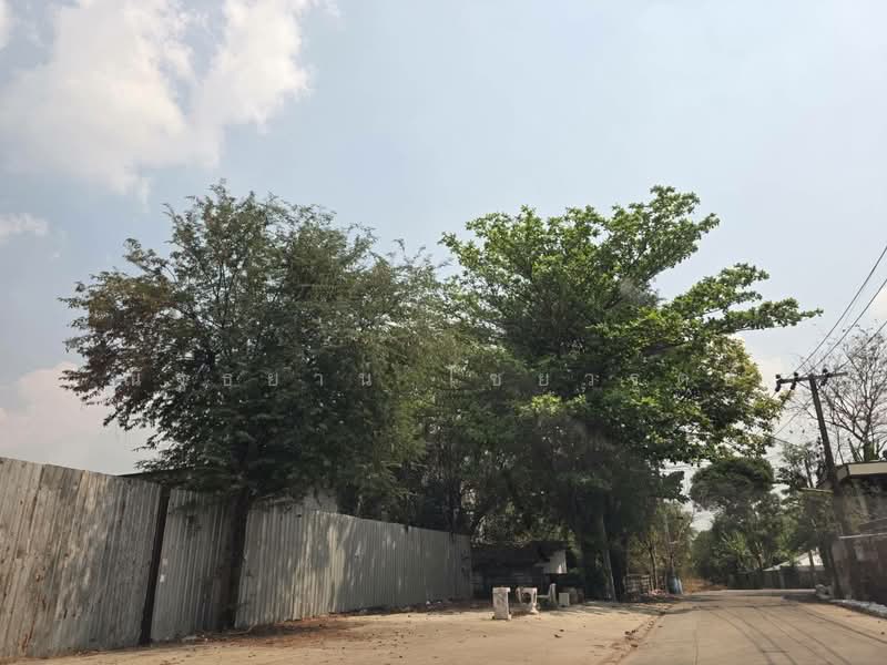 ขายที่ดินในซอยเพชรหึงส์ 23 บางกระเจ้า พระประแดง สมุทรปราการ, สมุทรปราการ, เพชรหึงส์, บางยอ, พระประแดง, สมุทรปราการ, 8,000 ตร.ม., ที่ดิน ขาย, โดย ณัฐธยาน์ ไชยวรุตย์, 500154502 - DDproperty.com