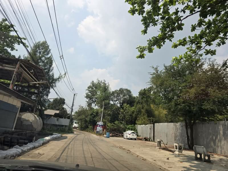 ขายที่ดินในซอยเพชรหึงส์ 23 บางกระเจ้า พระประแดง สมุทรปราการ, Samut Prakan, เพชรหึงส์, Bang Yo, Phra Pra Daeng, Samut Prakan, , 8,000 sqm, Land For Sale, by ณัฐธยาน์ ไชยวรุตย์, 500154502 - DDproperty.com