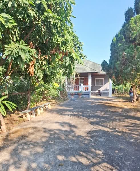 บ้านเดี่ยวพร้อมที่ดินเทิง เชียงราย, Chiang Rai, San Sai Ngam, Thoeng, Chiang Rai, 2 Bedrooms, 100 sqm, Single Detached House For Sale, by The Best Property ไนล์, 500154520 - DDproperty.com