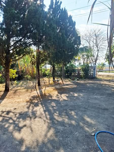 ขาย - บ้านเดี่ยวพร้อมที่ดินเทิง เชียงราย, เชียงราย