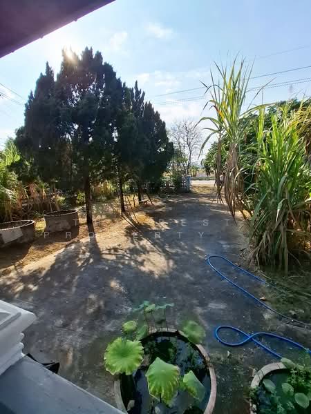 ขาย - บ้านเดี่ยวพร้อมที่ดินเทิง เชียงราย, เชียงราย