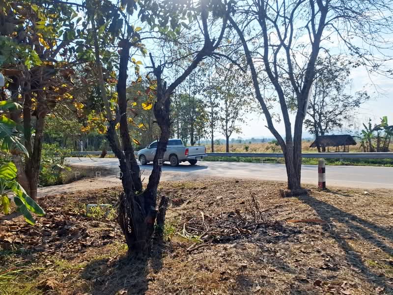 บ้านเดี่ยวพร้อมที่ดินเทิง เชียงราย, Chiang Rai, San Sai Ngam, Thoeng, Chiang Rai, 2 Bedrooms, 100 sqm, Single Detached House For Sale, by The Best Property ไนล์, 500154520 - DDproperty.com