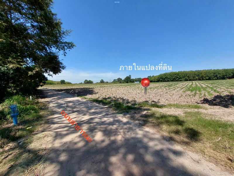 ขายที่ดิน พนมสารคาม ฉะเชิงเทรา เขต EEC ราคาต่อวาไม่ถึงพัน ใกล้ถ.304 และ ถ.331 (WRK001), Chachoengsao, Khao Hin Son, Phanom Sarakham, Chachoengsao, , 32,172 sqm, Land For Sale, by สิริกาญจน์ กุลจิราธีรัตม์, 500154572 - DDproperty.com
