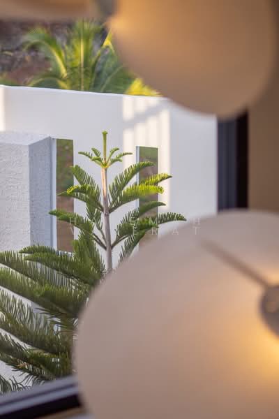 Dcondo Campus Resort Kuku, ภูเก็ต, 62 Moo 3, รัษฎา, เมืองภูเก็ต, ภูเก็ต, 350 ตร.ม., บ้านเดี่ยว ขาย, โดย Halemah Varerat, 500154677 - DDproperty.com