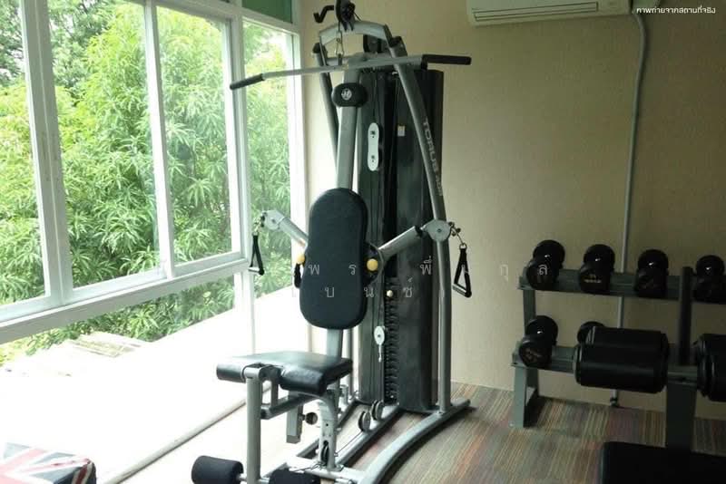 Sense of London, Samut Prakan, - Sukhumvit 109 Road, Samrong Nua, Muang Samut Prakarn, Samut Prakan, 1 Bedroom, 30 sqm, Condo For Rent, by Nattayaporn Peumkul (Benz), 500154688 - DDproperty.com