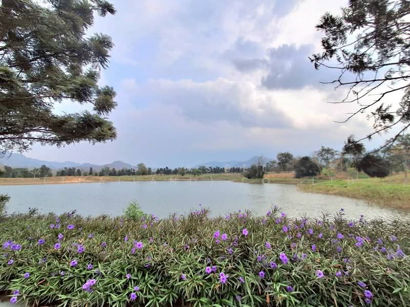 ขายที่ดินเปล่า Pirom At Vineyard เขาใหญ่ ภิรมย์ แอท วินยาร์ด, Nakhon Ratchasima, Phyayen, Pak Chong, Nakhon Ratchasima, , 1,448 sqm, Land For Sale, by DD Asset (Thailand) Co.,Ltd, 500154739 - DDproperty.com