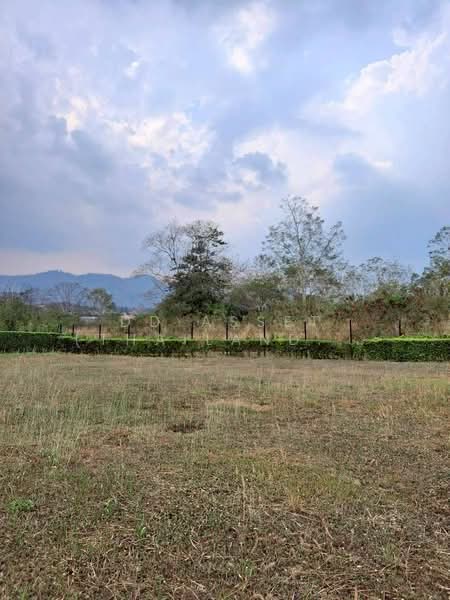 ขายที่ดินเปล่า Pirom At Vineyard เขาใหญ่ ภิรมย์ แอท วินยาร์ด, นครราชสีมา, พญาเย็น, ปากช่อง, นครราชสีมา, 1,448 ตร.ม., ที่ดิน ขาย, โดย DD Asset (Thailand) Co.,Ltd, 500154739 - DDproperty.com