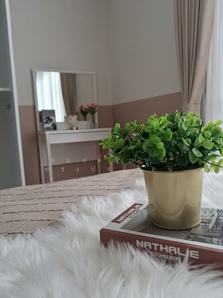 @City Condominium, Bangkok, 169 Sukhumvit Road, Bang Chak, Phra Khanong, Bangkok, 1 Bedroom, 35 sqm, Condo For Rent, by อนงค์ลักษณ์ ทรงประโคน, 500154743 - DDproperty.com