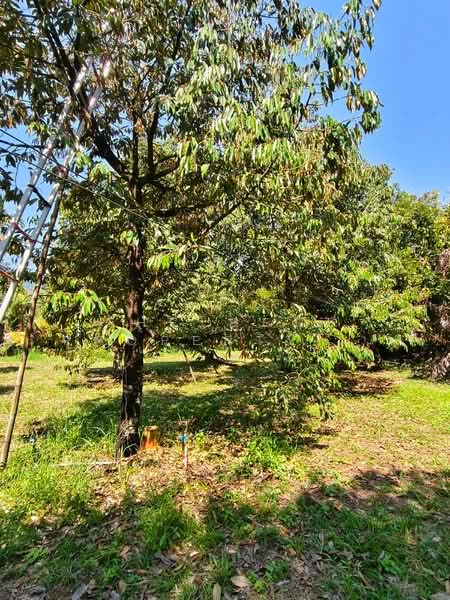 ที่ดินเขาคิชฌกูฏ จันทบุรี, Chanthaburi, Sak Thai, Kao Kichakut, Chanthaburi, , 10,924 sqm, Land For Sale, by The Best Property ดรีม, 500154760 - DDproperty.com
