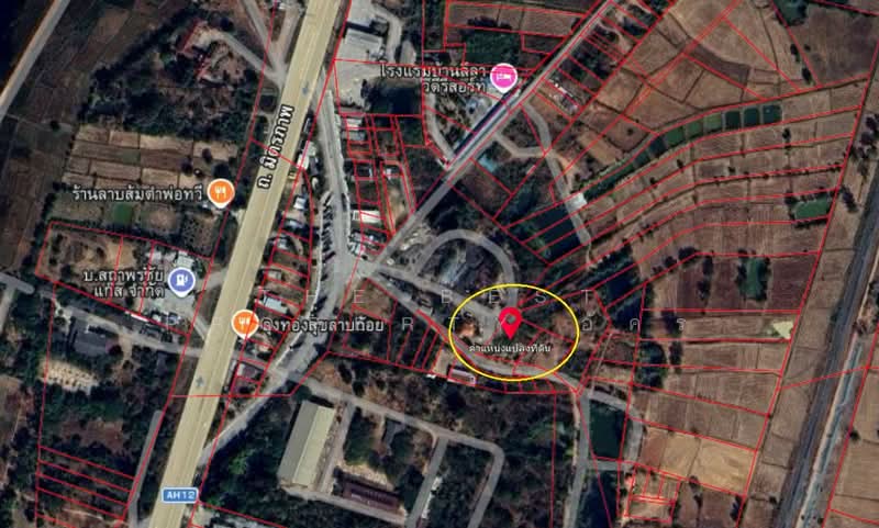 บ้านเดี่ยวบ้านไผ่ ขอนแก่น, Khon Kaen, Hua Nong, Ban Phai, Khon Kaen, 4 Bedrooms, 300 sqm, Single Detached House For Sale, by The Best Property อัคร, 500154764 - DDproperty.com