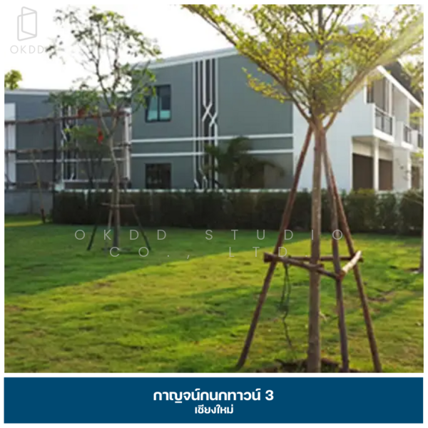 กาญจน์กนกทาวน์ 3, เชียงใหม่, เลียบคลองชลประทานแม่แตงหางดง, สุเทพ, เมืองเชียงใหม่, เชียงใหม่, 118 ตร.ม., ทาวน์เฮ้าส์ ขาย, โดย OKDD STUDIO Co., Ltd., 500154779 - DDproperty.com