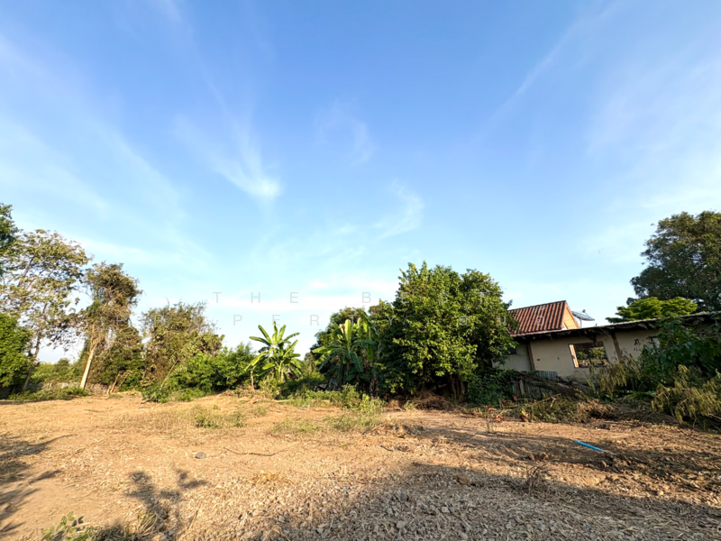 บ้านเดี่ยวพร้อมที่ดินหาดท่าเสา ชัยนาท, Chai Nat, Hat Tha Sao, Muang Chai Nat, Chai Nat, 3 Bedrooms, 100 sqm, Single Detached House For Sale, by The Best Property ต้นอ้อ, 500154781 - DDproperty.com