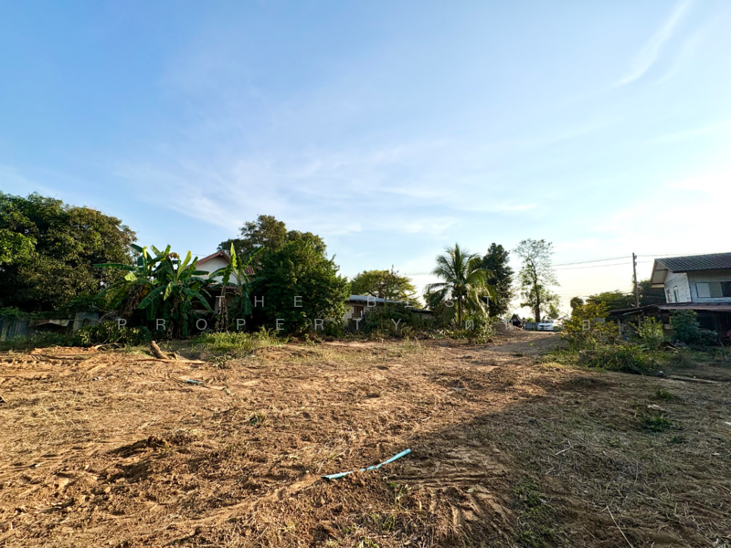 บ้านเดี่ยวพร้อมที่ดินหาดท่าเสา ชัยนาท, Chai Nat, Hat Tha Sao, Muang Chai Nat, Chai Nat, 3 Bedrooms, 100 sqm, Single Detached House For Sale, by The Best Property ต้นอ้อ, 500154781 - DDproperty.com