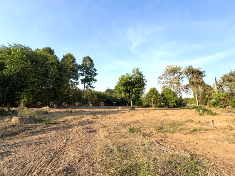 บ้านเดี่ยวพร้อมที่ดินหาดท่าเสา ชัยนาท, Chai Nat, Hat Tha Sao, Muang Chai Nat, Chai Nat, 3 Bedrooms, 100 sqm, Single Detached House For Sale, by The Best Property ต้นอ้อ, 500154781 - DDproperty.com