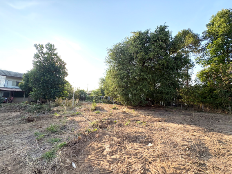 บ้านเดี่ยวพร้อมที่ดินหาดท่าเสา ชัยนาท, Chai Nat, Hat Tha Sao, Muang Chai Nat, Chai Nat, 3 Bedrooms, 100 sqm, Single Detached House For Sale, by The Best Property ต้นอ้อ, 500154781 - DDproperty.com