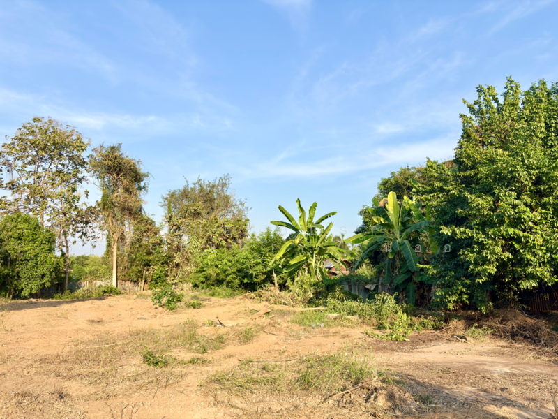 บ้านเดี่ยวพร้อมที่ดินหาดท่าเสา ชัยนาท, Chai Nat, Hat Tha Sao, Muang Chai Nat, Chai Nat, 3 Bedrooms, 100 sqm, Single Detached House For Sale, by The Best Property ต้นอ้อ, 500154781 - DDproperty.com