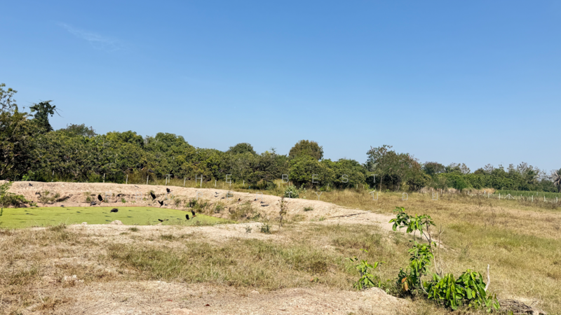 ที่ดินดอยหล่อ เชียงใหม่, เชียงใหม่, ดอยหล่อ, ดอยหล่อ, เชียงใหม่, 8,180 ตร.ม., ที่ดิน ขาย, โดย The Best Property บอย, 500154785 - DDproperty.com