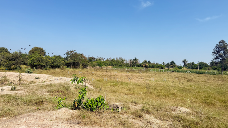 ที่ดินดอยหล่อ เชียงใหม่, เชียงใหม่, ดอยหล่อ, ดอยหล่อ, เชียงใหม่, 8,180 ตร.ม., ที่ดิน ขาย, โดย The Best Property บอย, 500154785 - DDproperty.com