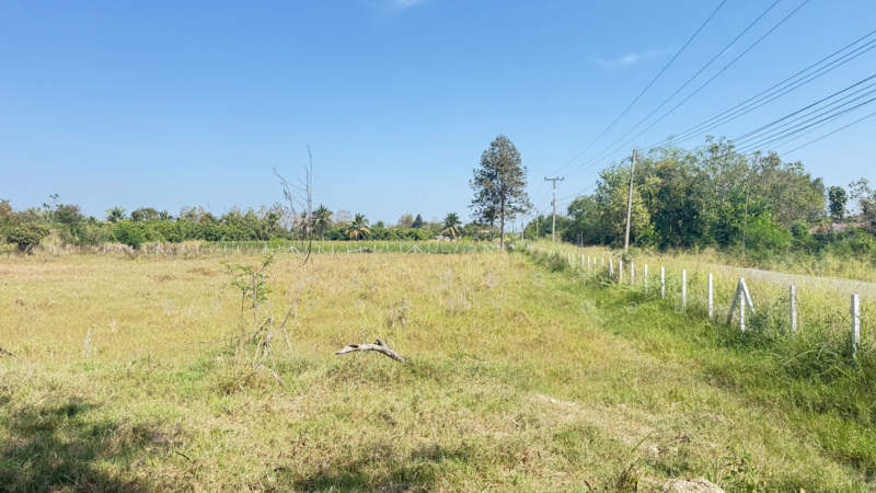 ที่ดินดอยหล่อ เชียงใหม่, Chiang Mai, Doi Lo, Doi Lo, Chiang Mai, , 8,180 sqm, Land For Sale, by The Best Property บอย, 500154785 - DDproperty.com