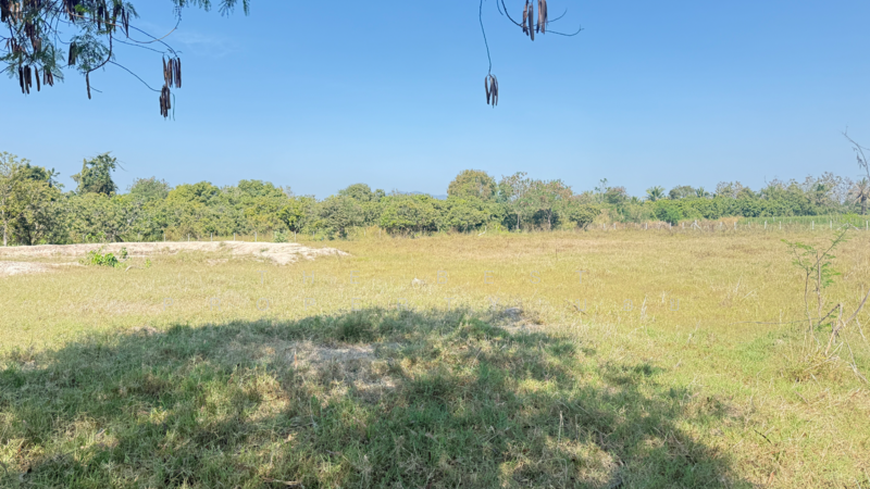 ที่ดินดอยหล่อ เชียงใหม่, Chiang Mai, Doi Lo, Doi Lo, Chiang Mai, , 8,180 sqm, Land For Sale, by The Best Property บอย, 500154785 - DDproperty.com