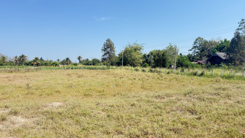 ที่ดินดอยหล่อ เชียงใหม่, Chiang Mai, Doi Lo, Doi Lo, Chiang Mai, , 8,180 sqm, Land For Sale, by The Best Property บอย, 500154785 - DDproperty.com