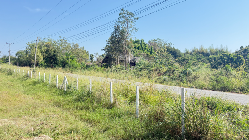 ที่ดินดอยหล่อ เชียงใหม่, Chiang Mai, Doi Lo, Doi Lo, Chiang Mai, , 8,180 sqm, Land For Sale, by The Best Property บอย, 500154785 - DDproperty.com