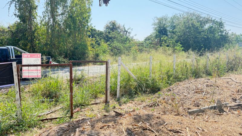 ที่ดินดอยหล่อ เชียงใหม่, Chiang Mai, Doi Lo, Doi Lo, Chiang Mai, , 8,180 sqm, Land For Sale, by The Best Property บอย, 500154785 - DDproperty.com