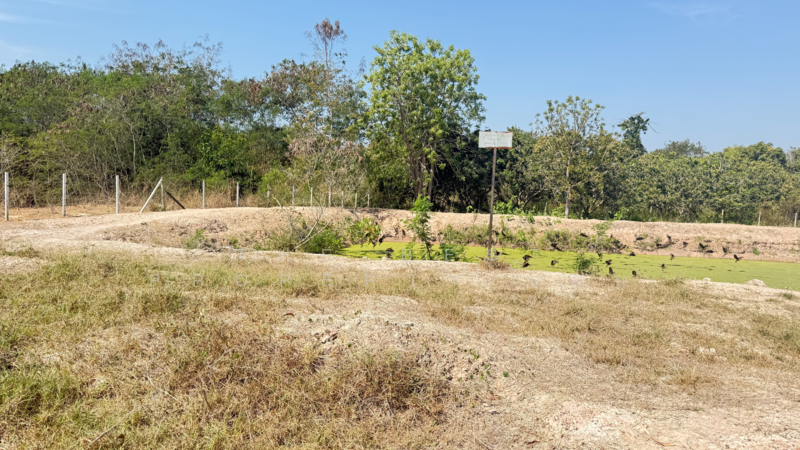 ที่ดินดอยหล่อ เชียงใหม่, เชียงใหม่, ดอยหล่อ, ดอยหล่อ, เชียงใหม่, 8,180 ตร.ม., ที่ดิน ขาย, โดย The Best Property บอย, 500154785 - DDproperty.com