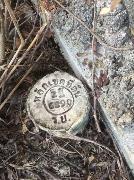 ที่ดินนาตาขวัญ ระยอง, Rayong, Na Ta Khuan, Muang Rayong, Rayong, , 400 sqm, Land For Sale, by The Best Property อีฟ, 500154818 - DDproperty.com