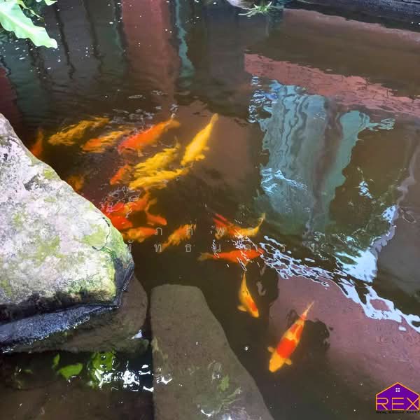 Panya Indra P1, Bangkok, Bang Chun, Khlong Sam Wa, Bangkok, 4 Bedrooms, 980 sqm, Single Detached House For Sale, by ภคพล มหัทธนดำรง, 500154823 - DDproperty.com