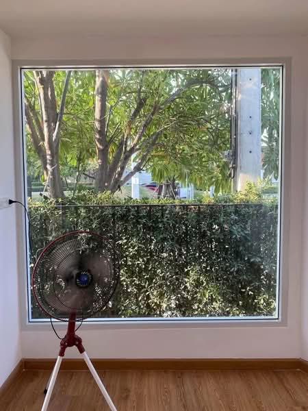 Sense Saimai 56 : เซนส์ สายไหม 56, กรุงเทพ, ซอยสายไหม 56, ออเงิน, สายไหม, กรุงเทพ, 151 ตร.ม., บ้านเดี่ยว ให้เช่า, โดย คุณ ภัทรานิษฐ์, 500154828 - DDproperty.com