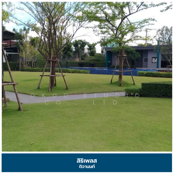 สิริเพลส ติวานนท์, นนทบุรี, ถ.ติวานนท์-ปากเกร็ด 31, บ้านใหม่, ปากเกร็ด, นนทบุรี, 151 ตร.ม., ทาวน์เฮ้าส์ ขาย, โดย OKDD STUDIO Co., Ltd., 500154853 - DDproperty.com