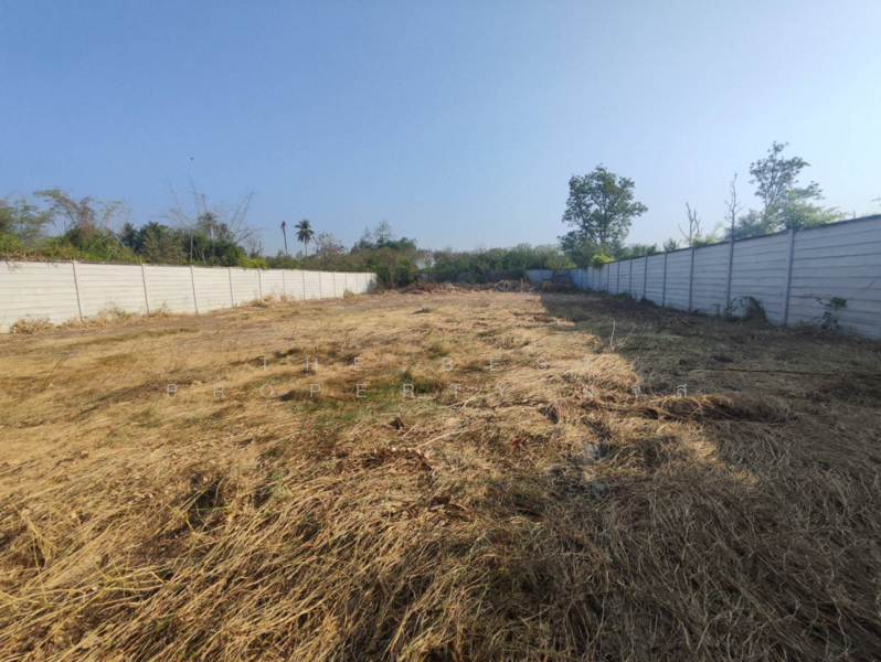 ที่ดินโพธาราม ราชบุรี, Ratchaburi, Ban Khong, Photharam, Ratchaburi, , 3,200 sqm, Land For Sale, by The Best Property แจส, 500154895 - DDproperty.com
