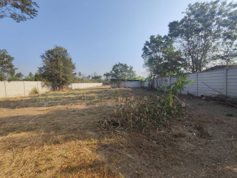 ที่ดินโพธาราม ราชบุรี, Ratchaburi, Ban Khong, Photharam, Ratchaburi, , 3,200 sqm, Land For Sale, by The Best Property แจส, 500154895 - DDproperty.com