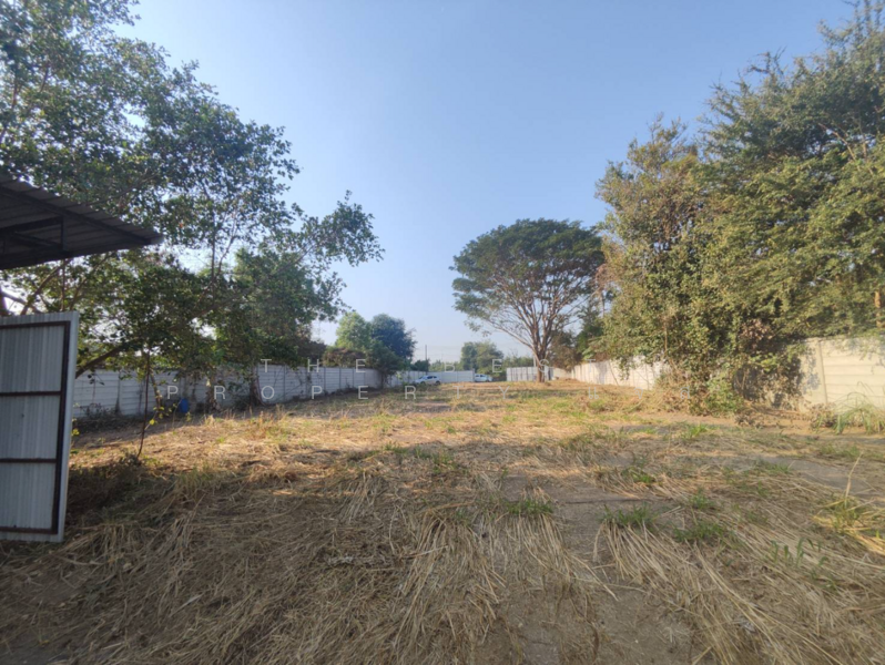 ที่ดินโพธาราม ราชบุรี, Ratchaburi, Ban Khong, Photharam, Ratchaburi, , 3,200 sqm, Land For Sale, by The Best Property แจส, 500154895 - DDproperty.com