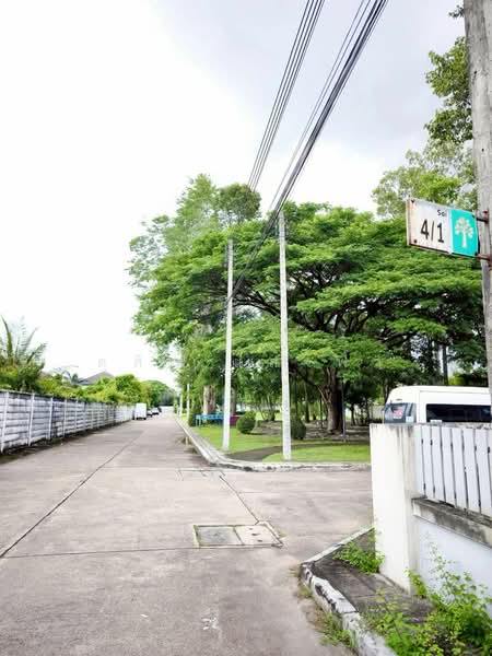 ให้เช่า ม.เดอะทรี หลังมุม มีพื้นที่สวนข้างบ้าน หนองยายบู่ ศรีราชา, Chon Buri (Pattaya), Surasak, Si Racha, Chon Buri (Pattaya), 3 Bedrooms, 200 sqm, Single Detached House For Rent, by Dusit Saengfa, 500154919 - DDproperty.com