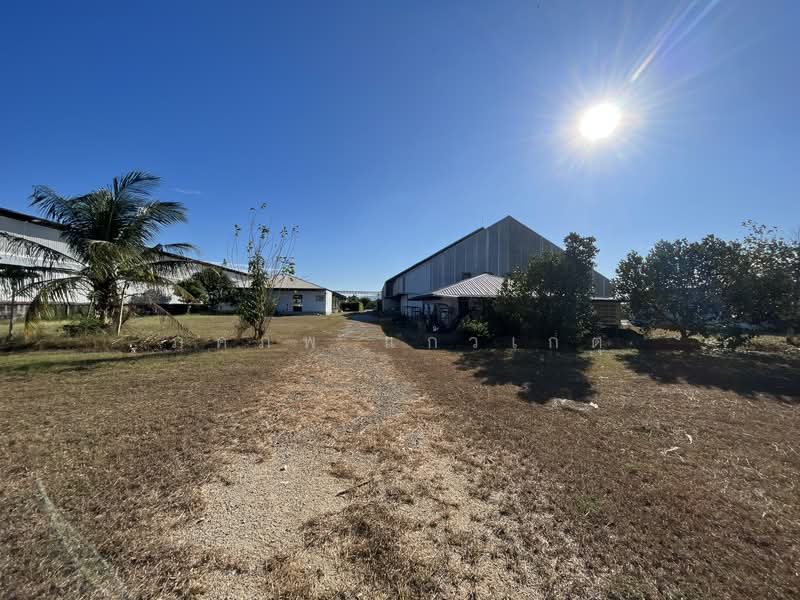 โรงงาน, Chon Buri (Pattaya), Nong Chak, Ban Bung, Chon Buri (Pattaya), , 5,000 sqm, Warehouse/Factory For Sale, by ภคภพ แก้วเกตุ, 500154929 - DDproperty.com